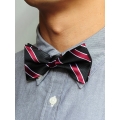 Bow Tie (Black/Red/Line)